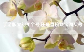 手游版梦幻买个号,还是直接藏宝阁买号