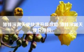 雏蜂深渊天使快速升级攻略(雏蜂深渊天使兑换码)