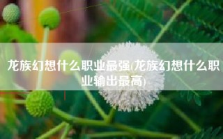 龙族幻想什么职业最强(龙族幻想什么职业输出最高)