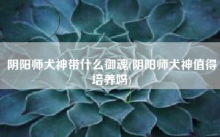 阴阳师犬神带什么御魂(阴阳师犬神值得培养吗)