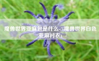 魔兽世界亚麻包是什么- (魔兽世界白色亚麻衬衣)
