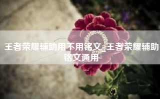 王者荣耀辅助用不用铭文_王者荣耀辅助铭文通用
