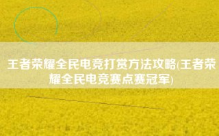 王者荣耀全民电竞打赏方法攻略(王者荣耀全民电竞赛点赛冠军)