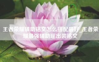 王者荣耀辅助铭文怎么搭配最好_王者荣耀最强辅助瑶出装铭文