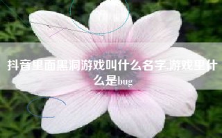 抖音里面黑洞游戏叫什么名字,游戏里什么是bug