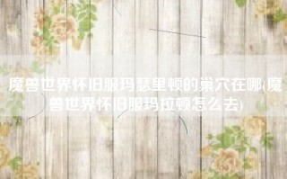 魔兽世界怀旧服玛瑟里顿的巢穴在哪(魔兽世界怀旧服玛拉顿怎么去)
