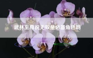 武林至尊祝无双是必备角色吗