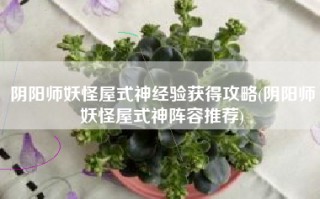 阴阳师妖怪屋式神经验获得攻略(阴阳师妖怪屋式神阵容推荐)