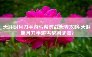 天涯明月刀手游丐帮对战天香攻略(天涯明月刀手游丐帮副武器)