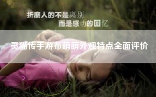 灵猫传手游布萌萌外观特点全面评价