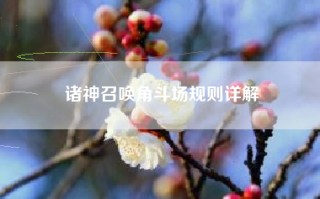 诸神召唤角斗场规则详解