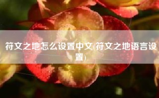 符文之地怎么设置中文(符文之地语言设置)