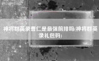 神将群英录曹仁是最强前排吗(神将群英录礼包码)