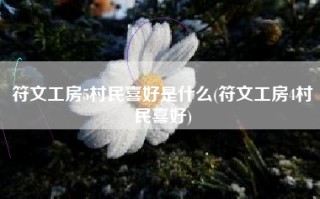 符文工房5村民喜好是什么(符文工房4村民喜好)