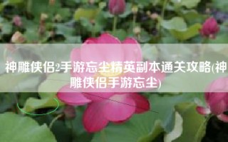 神雕侠侣2手游忘尘精英副本通关攻略(神雕侠侣手游忘尘)