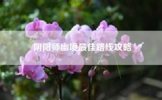 阴阳师幽境最佳路线攻略