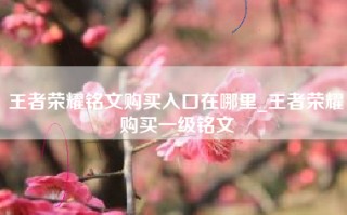 王者荣耀铭文购买入口在哪里_王者荣耀购买一级铭文