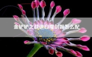 金铲铲之战速白魔剑姬怎么配