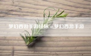 梦幻西游手游经脉 st,梦幻西游手游