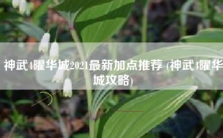 神武4曜华城2021最新加点推荐 (神武4曜华城攻略)