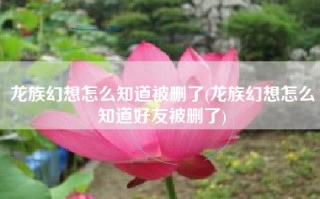 龙族幻想怎么知道被删了(龙族幻想怎么知道好友被删了)