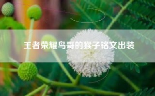 王者荣耀鸟哥的猴子铭文出装