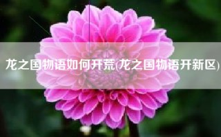 龙之国物语如何开荒(龙之国物语开新区)