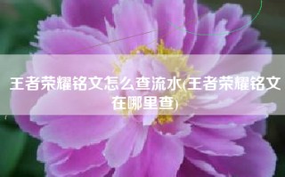 王者荣耀铭文怎么查流水(王者荣耀铭文在哪里查)