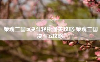 策魂三国30决斗轻松通关攻略(策魂三国决斗35攻略)