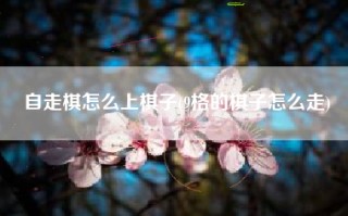 自走棋怎么上棋子(9格的棋子怎么走)
