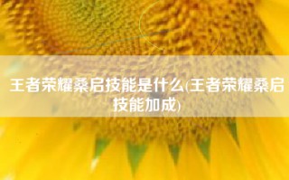 王者荣耀桑启技能是什么(王者荣耀桑启技能加成)