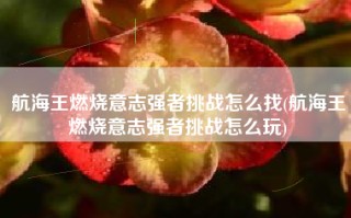 航海王燃烧意志强者挑战怎么找(航海王燃烧意志强者挑战怎么玩)