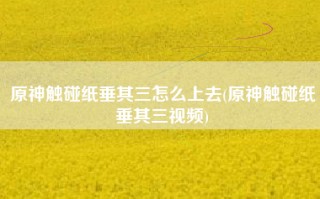 原神触碰纸垂其三怎么上去(原神触碰纸垂其三视频)