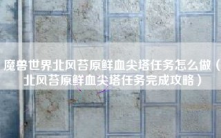 魔兽世界北风苔原鲜血尖塔任务怎么做（北风苔原鲜血尖塔任务完成攻略）