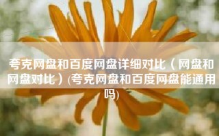 夸克网盘和百度网盘详细对比（网盘和网盘对比）(夸克网盘和百度网盘能通用吗)