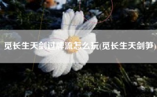 觅长生天剑过牌流怎么玩(觅长生天剑笋)