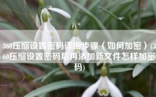 360压缩设置密码详细步骤（如何加密）(360压缩设置密码后再添加新文件怎样加密码)