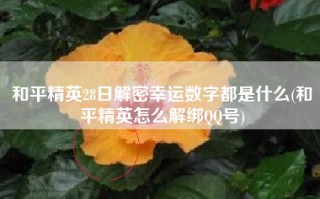 和平精英28日解密幸运数字都是什么(和平精英怎么解绑QQ号)