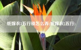 纸嫁衣3五行锁怎么弄(纸嫁衣2五行)