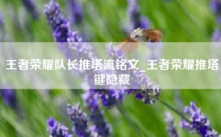 王者荣耀队长推塔流铭文_王者荣耀推塔键隐藏