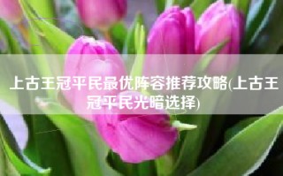 上古王冠平民最优阵容推荐攻略(上古王冠平民光暗选择)