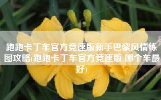 跑跑卡丁车官方竞速版新手巴黎风情练图攻略(跑跑卡丁车官方竞速版 哪个车最好)