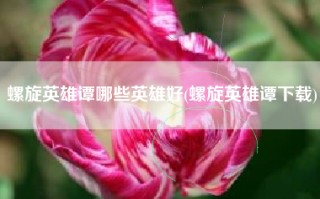螺旋英雄谭哪些英雄好(螺旋英雄谭下载)