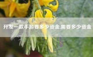 开发一款手游要多少资金,需要多少资金