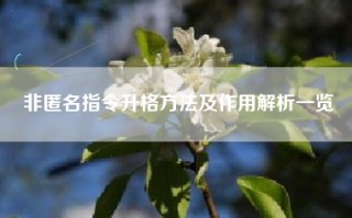非匿名指令升格方法及作用解析一览
