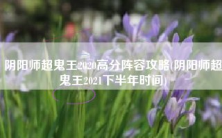 阴阳师超鬼王2020高分阵容攻略(阴阳师超鬼王2021下半年时间)