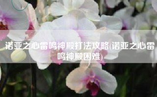 诺亚之心雷鸣神殿打法攻略(诺亚之心雷鸣神殿困难)