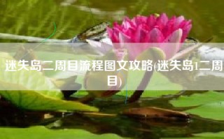 迷失岛二周目流程图文攻略(迷失岛1二周目)