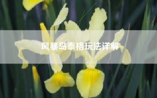 风暴岛泰格玩法详解