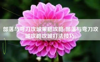 部落与弯刀攻城策略攻略(部落与弯刀攻城攻略攻城打法技巧)